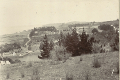 Harbour and Orchards c 1900