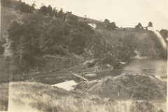 Wyatt sawmill, head of Leigh Harbour